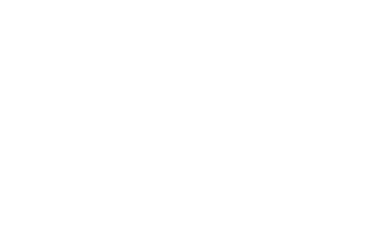 D13 Spotlight