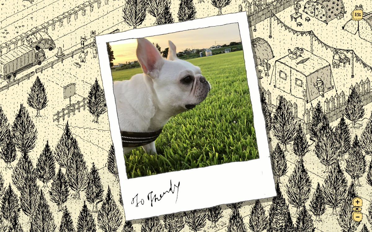 The real-life inspiration for Finding Polka